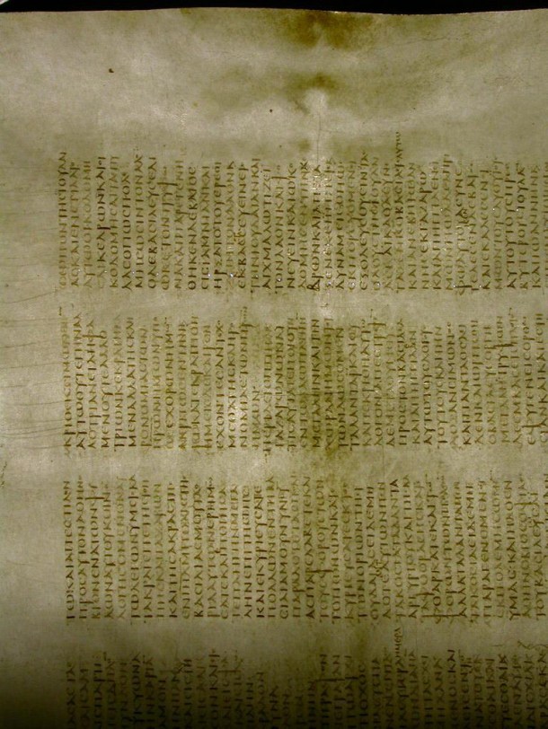Animal Skin parchment. You can see skeletal outlines on the page. http://codexsinaiticus.org/de/img/ParchFeatSkeletal.jpg