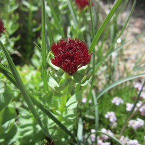 #3 Grief Like&nbsp;Mine