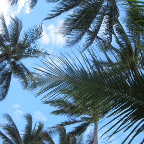 #12 The Opposite of&nbsp;#Blessed