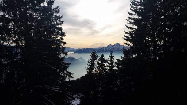 12794444_10153843841457209_8543610062978534758_n