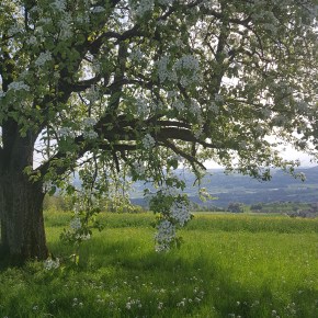 Blogging Rituals, Habits, and Routines: are they&nbsp;important?