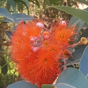 ‘Literary ghettos’: how do we make sure diverse authors are included in mainstream&nbsp;publishing?