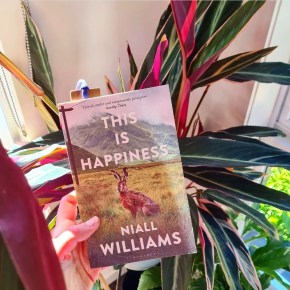 Review of Niall Williams “This Is Happiness”: when the rain stops in&nbsp;Faha