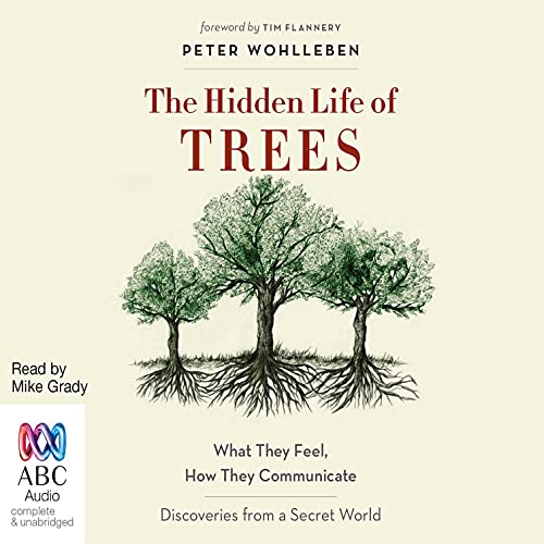 Audible book cover of The Hidden Life of Trees.