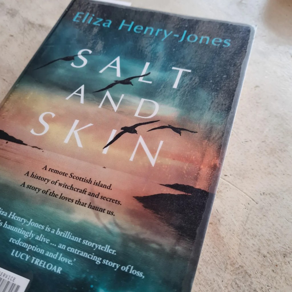 Book cover of Salt and Skin by Eliza Henry-Jones. The cover has a moody sunset on the cover with the outline of birds flying in the sky.