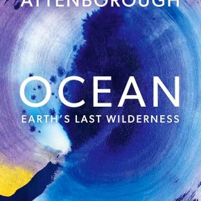 “Ocean” by David Attenborough: The Documentary and Book that Could Help Us Protect Our&nbsp;Oceans